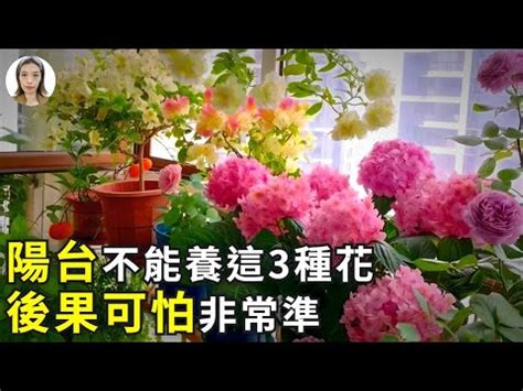 陽台 不能 種 的花